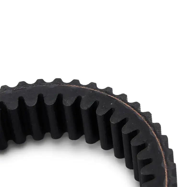 Close-up of a black drive belt on a white background