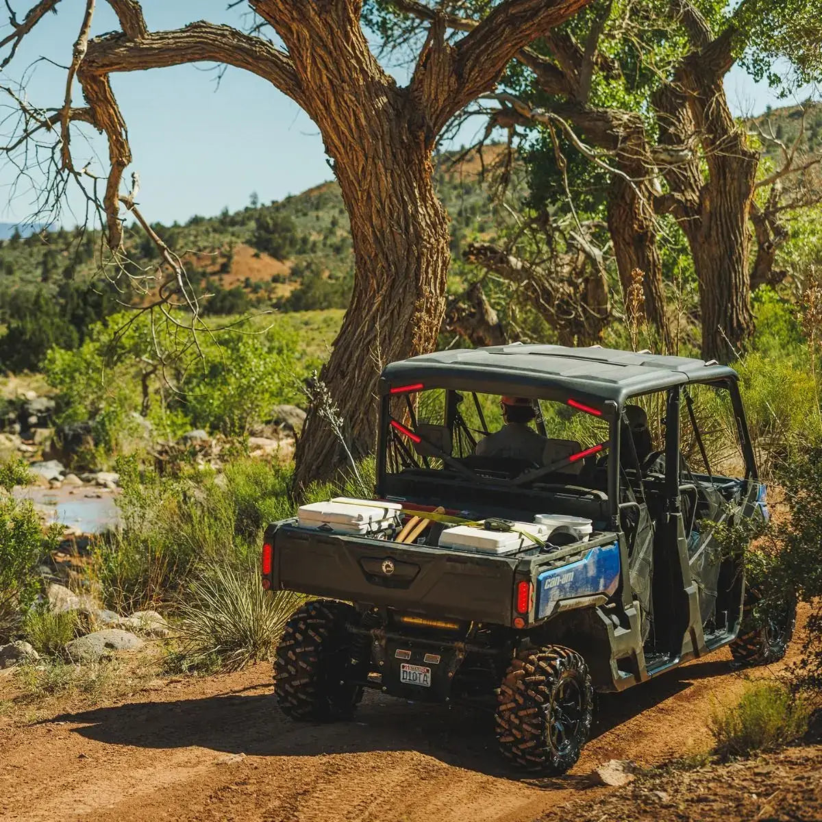Off-road vehicle on a dirt path with trees and mountains in the background