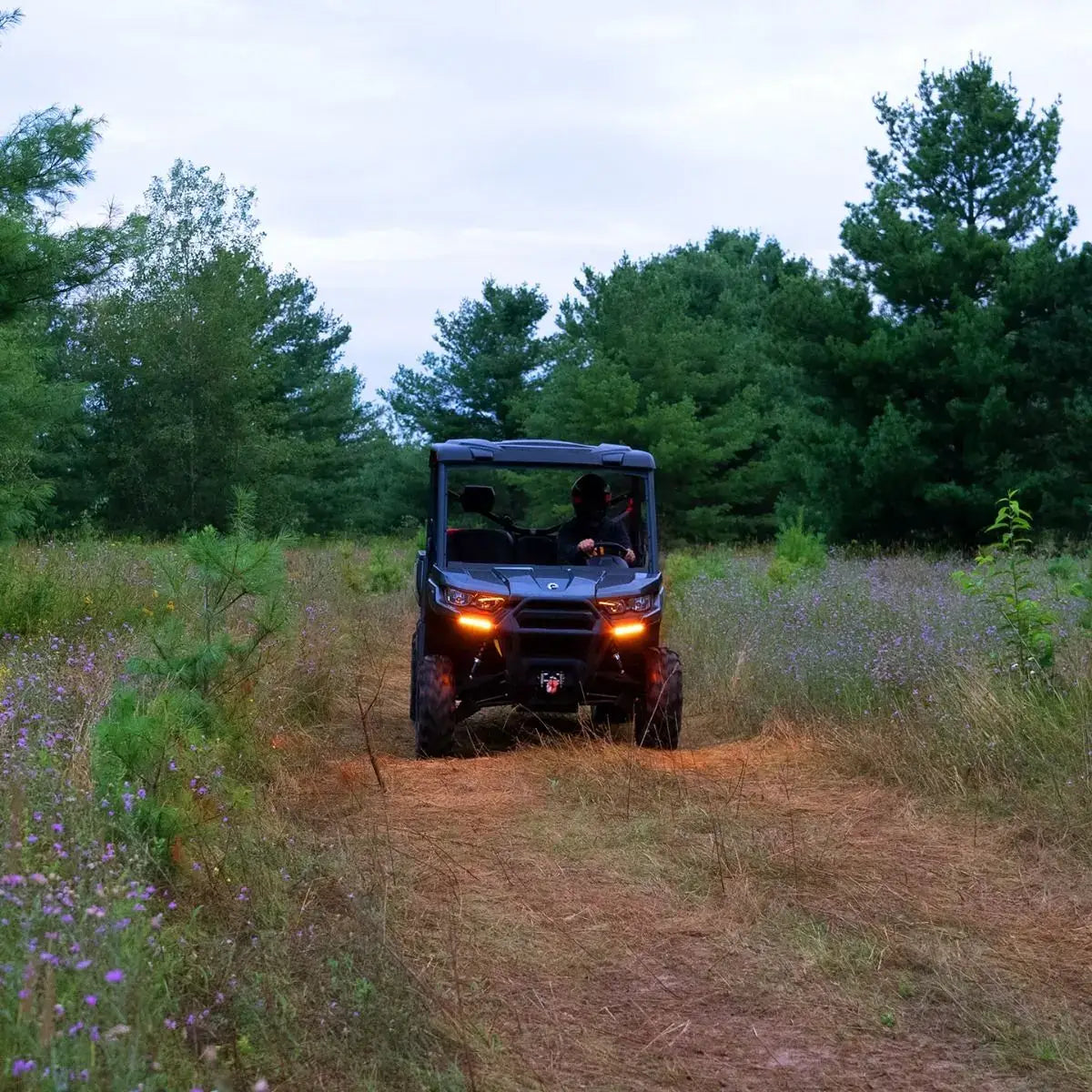 Off-road vehicle driving through a forested area with trees and grass.