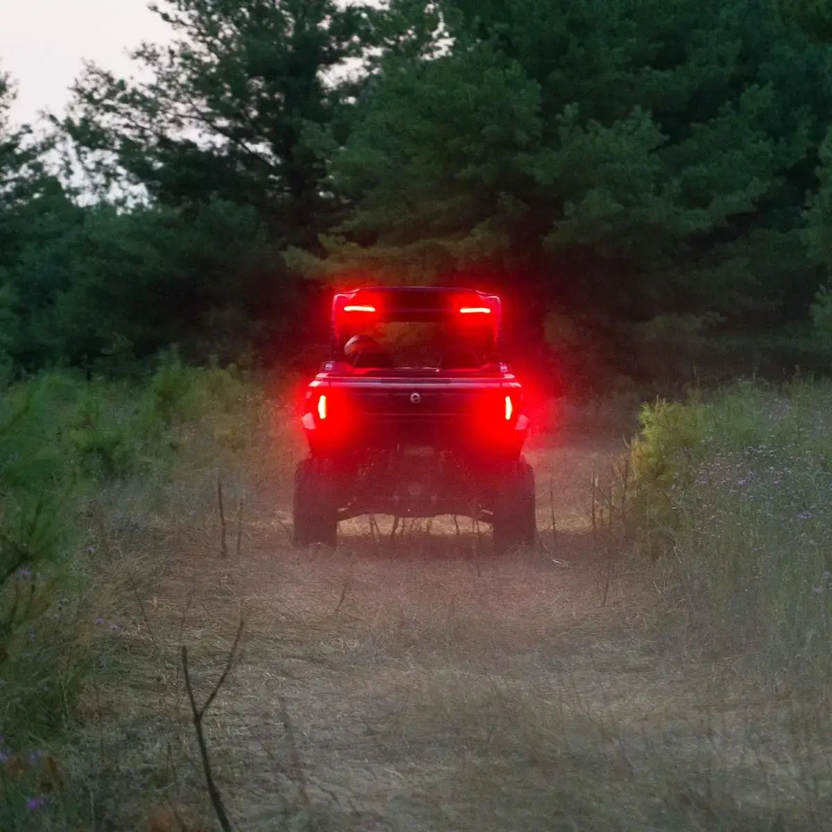Back view of a vehicle with red lights on a dirt path surrounded by trees