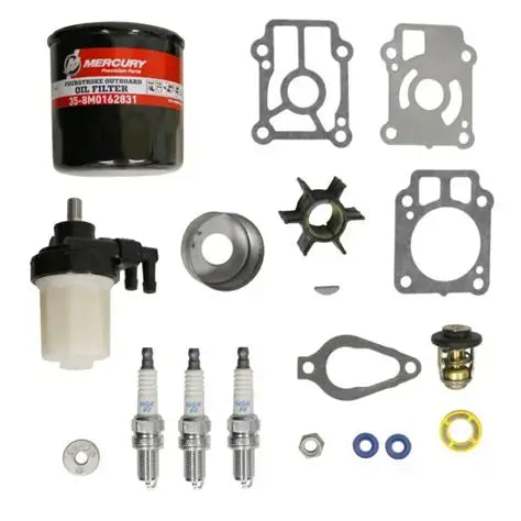 Mercury maintenance kit