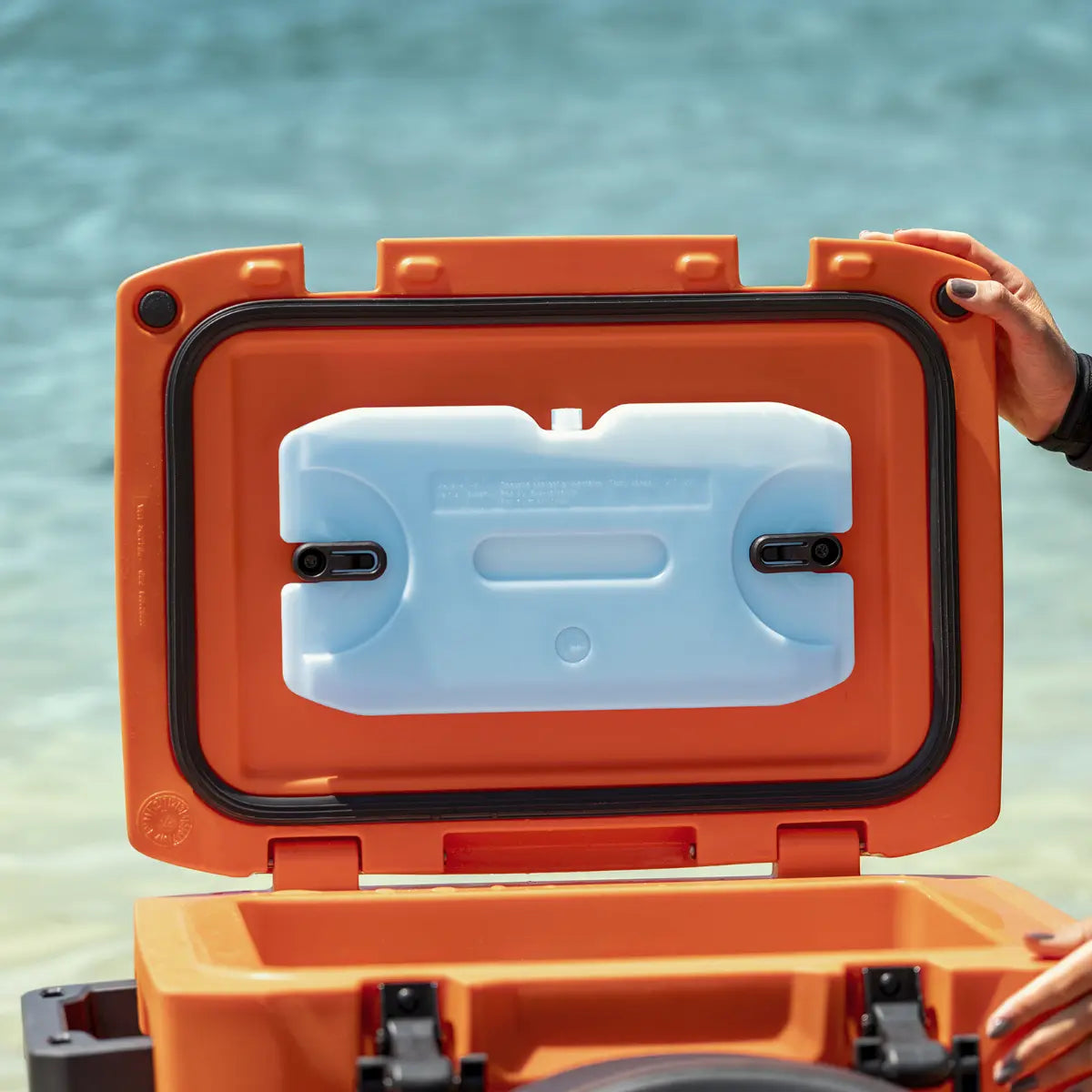 Sea-Doo Ice Pack For LinQ Coolers, 295101513