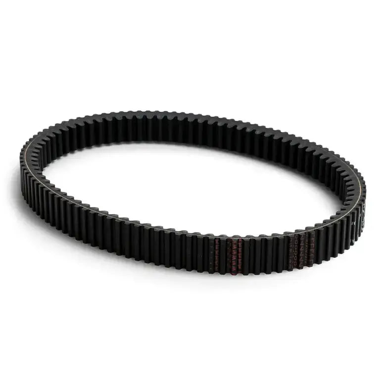 Black drive belt on a white background