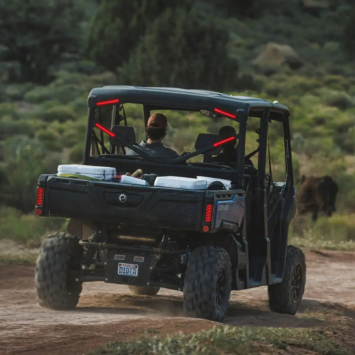 Black UTV on a dirt road with a person inside, surrounded by greenery.