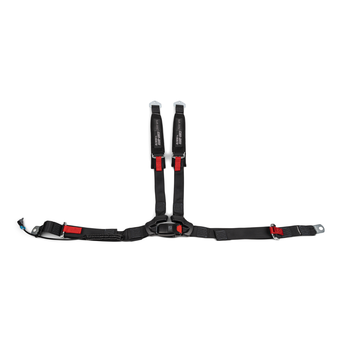 4-Point Harness (driver)