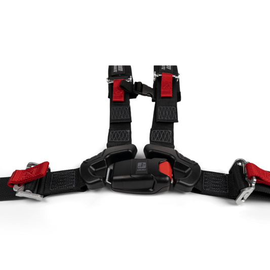 4-Point Harness - Driver