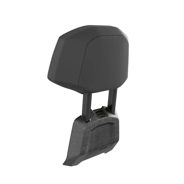 ラクビ 860202036_passenger_backrest_j